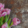 haenger_lang_detail