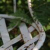 Detailbild