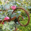 Detailbild Detailbild