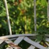 Detailbild2