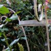 Detailbild2
