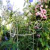 Detailbild