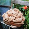 Detailbild