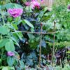 Detailbild