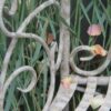bank_halbrund_nb