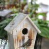 vogelhaus_spatz