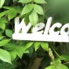 0_welcome_detail