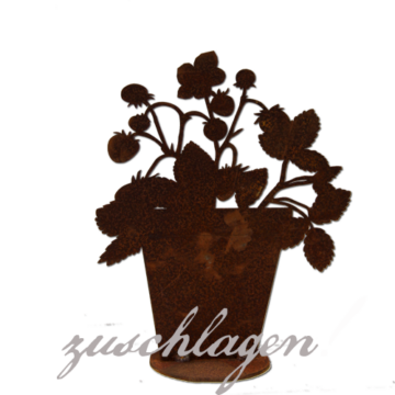 Aktions Angebot