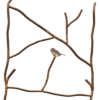 VoegelWand_1_1000
