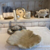 Vogeltraenke Blaetter