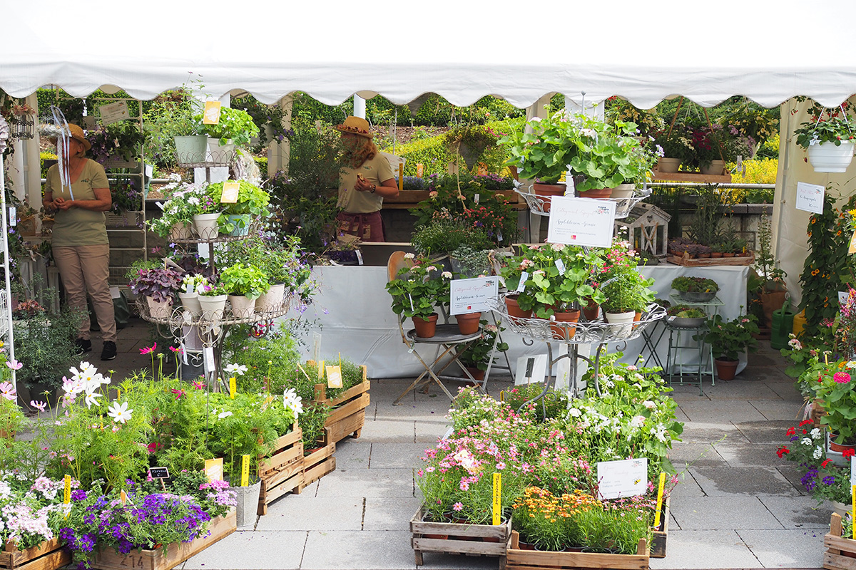 Gartenfest 22
