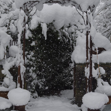 Winter Pause