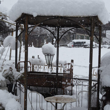Winter Pause